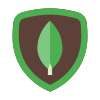MongoDB MongoDB